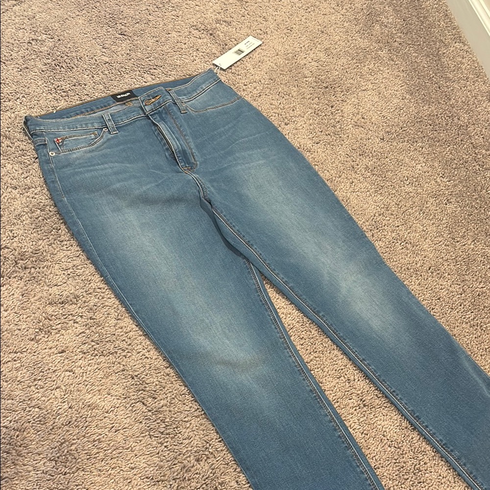 Hudson Jeans Blue Skinny Denim